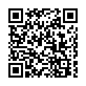 To view this 2008 CHEVROLET EXPRESS G1500 Rockford IL from Carlyle Auto Sales, please scan this QR code with your smartphone or tablet to view the mobile version of this page.