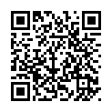 To view this 2012 VOLKSWAGEN PASSAT Rockford IL from Carlyle Auto Sales, please scan this QR code with your smartphone or tablet to view the mobile version of this page.