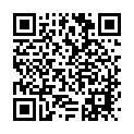 To view this 2012 FORD F250 Rockford IL from Carlyle Auto Sales, please scan this QR code with your smartphone or tablet to view the mobile version of this page.