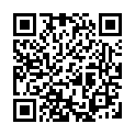 To view this 2009 DODGE GRAND CARAVAN Rockford IL from Carlyle Auto Sales, please scan this QR code with your smartphone or tablet to view the mobile version of this page.
