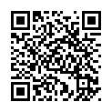 To view this 2009 JEEP PATRIOT Rockford IL from Carlyle Auto Sales, please scan this QR code with your smartphone or tablet to view the mobile version of this page.