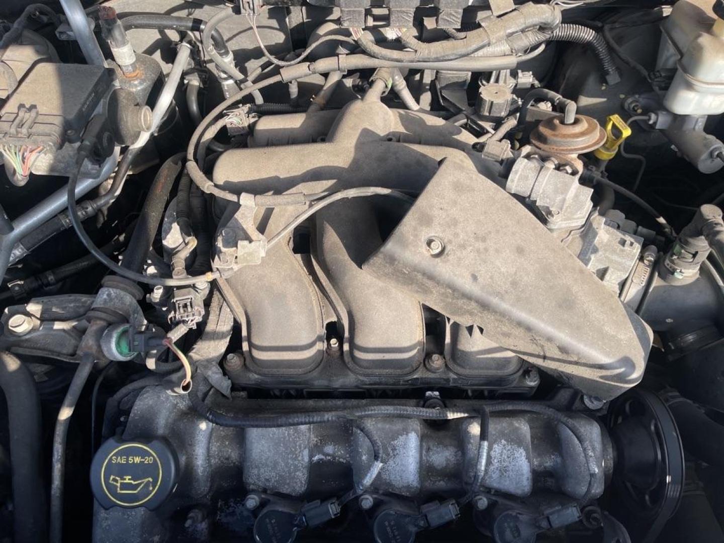 2006 GREEN FORD ESCAPE XLT (1FMYU03156K) with an 3.0L engine, Automatic transmission, located at 1708 Broadway, Rockford, IL, 61104, (815) 397-5010, 42.252522, -89.069359 - Photo#9