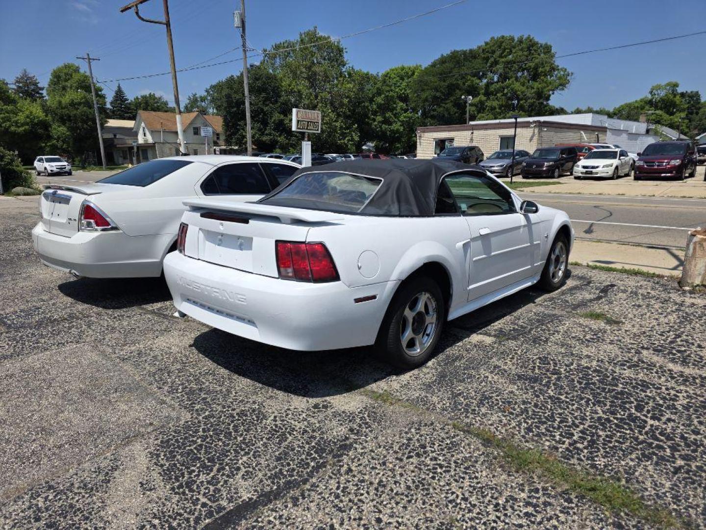 2003 WHITE FORD MUSTANG CONVERTABLE (1FAFP44493F) with an 3.8L engine, Automatic transmission, located at 1708 Broadway, Rockford, IL, 61104, (815) 397-5010, 42.252522, -89.069359 - Photo#4