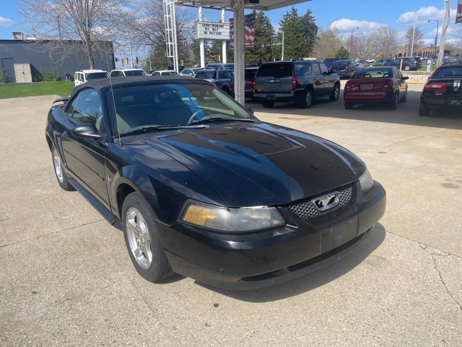 2003 BLACK FORD MUSTANG CONVERTABLE (1FAFP44493F) with an 3.8L engine, Automatic transmission, located at 151 Alpine Road, Rockford, IL, 61108, (815) 398-5010, 42.212986, -89.029320 - Photo #1