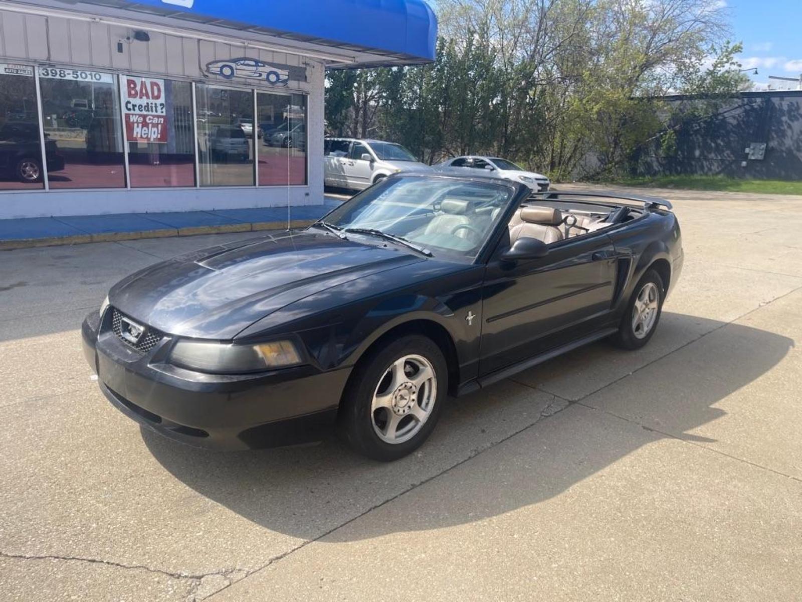 2003 BLACK FORD MUSTANG CONVERTABLE (1FAFP44493F) with an 3.8L engine, Automatic transmission, located at 151 Alpine Road, Rockford, IL, 61108, (815) 398-5010, 42.212986, -89.029320 - Photo #8