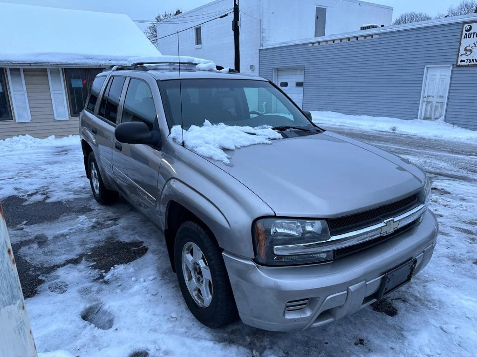 2002 TAN CHEVROLET TRAILBLAZER (1GNDT13S622) with an 4.2L engine, Automatic transmission, located at 1708 Broadway, Rockford, IL, 61104, (815) 397-5010, 42.252522, -89.069359 - Photo #3