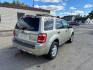 2012 GOLD FORD ESCAPE XLT (1FMCU0DG7CK) with an 3.0L engine, Automatic transmission, located at 1708 Broadway, Rockford, IL, 61104, (815) 397-5010, 42.252522, -89.069359- Photo#2