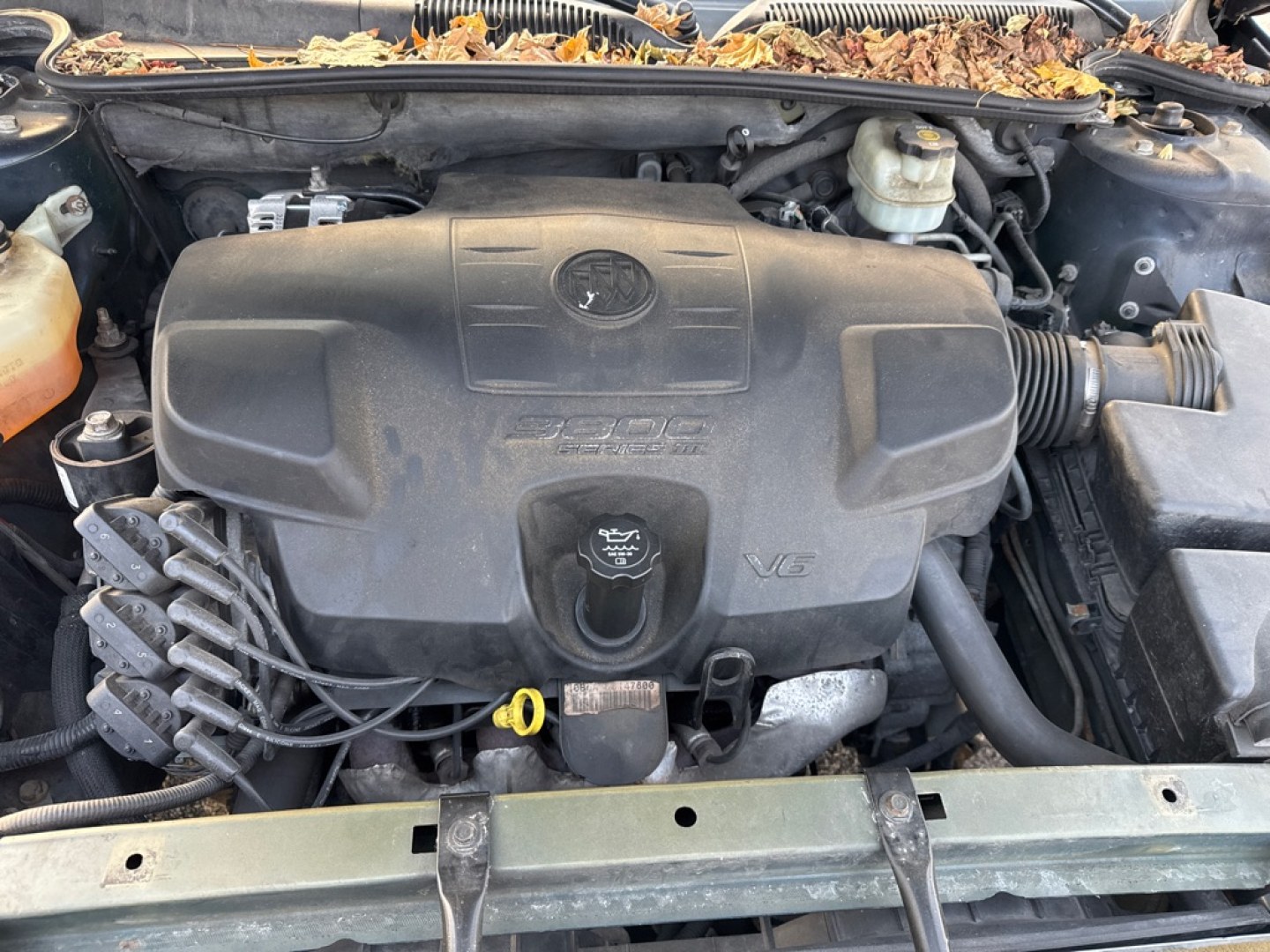 2007 BLUE BUICK LUCERNE CXL (1G4HD57287U) with an 3.8L engine, Automatic transmission, located at 1708 Broadway, Rockford, IL, 61104, (815) 397-5010, 42.252522, -89.069359- Photo#5