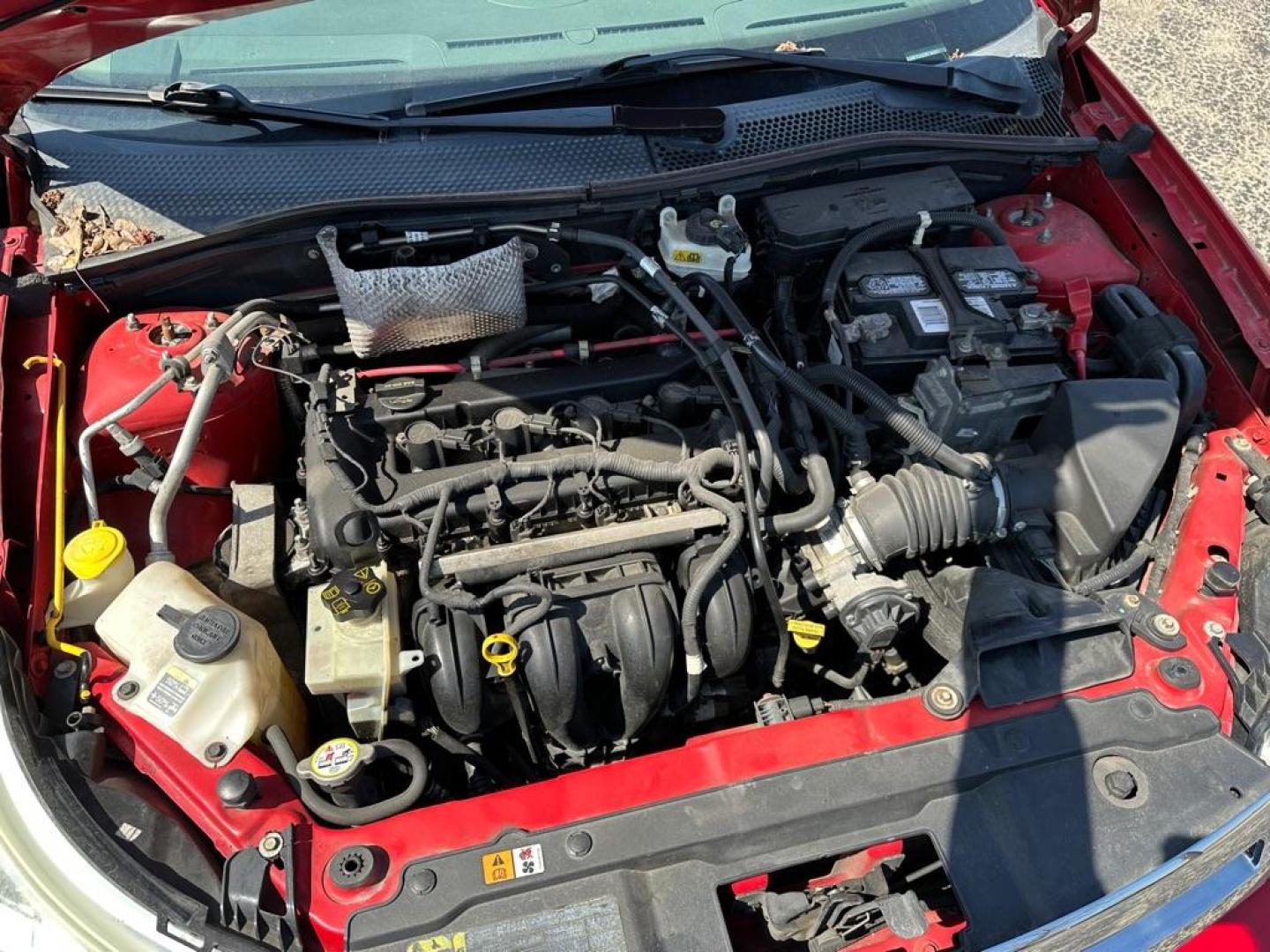 2008 RED FORD FOCUS SE (1FAHP35N78W) with an 2.0L engine, Automatic transmission, located at 1708 Broadway, Rockford, IL, 61104, (815) 397-5010, 42.252522, -89.069359 - Photo#12