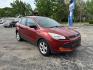 2015 ORANGE FORD ESCAPE S (1FMCU0F76FU) with an 2.5L engine, Automatic transmission, located at 1708 Broadway, Rockford, IL, 61104, (815) 397-5010, 42.252522, -89.069359 - Photo#1
