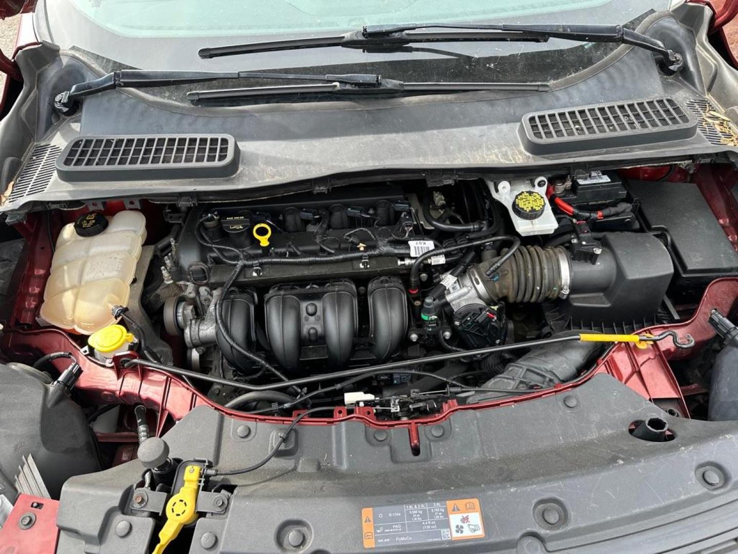 2015 ORANGE FORD ESCAPE S (1FMCU0F76FU) with an 2.5L engine, Automatic transmission, located at 1708 Broadway, Rockford, IL, 61104, (815) 397-5010, 42.252522, -89.069359 - Photo#12