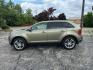 2013 GREEN FORD EDGE LIMITED (2FMDK4KC0DB) with an 3.5L engine, Automatic transmission, located at 1708 Broadway, Rockford, IL, 61104, (815) 397-5010, 42.252522, -89.069359 - Photo#5