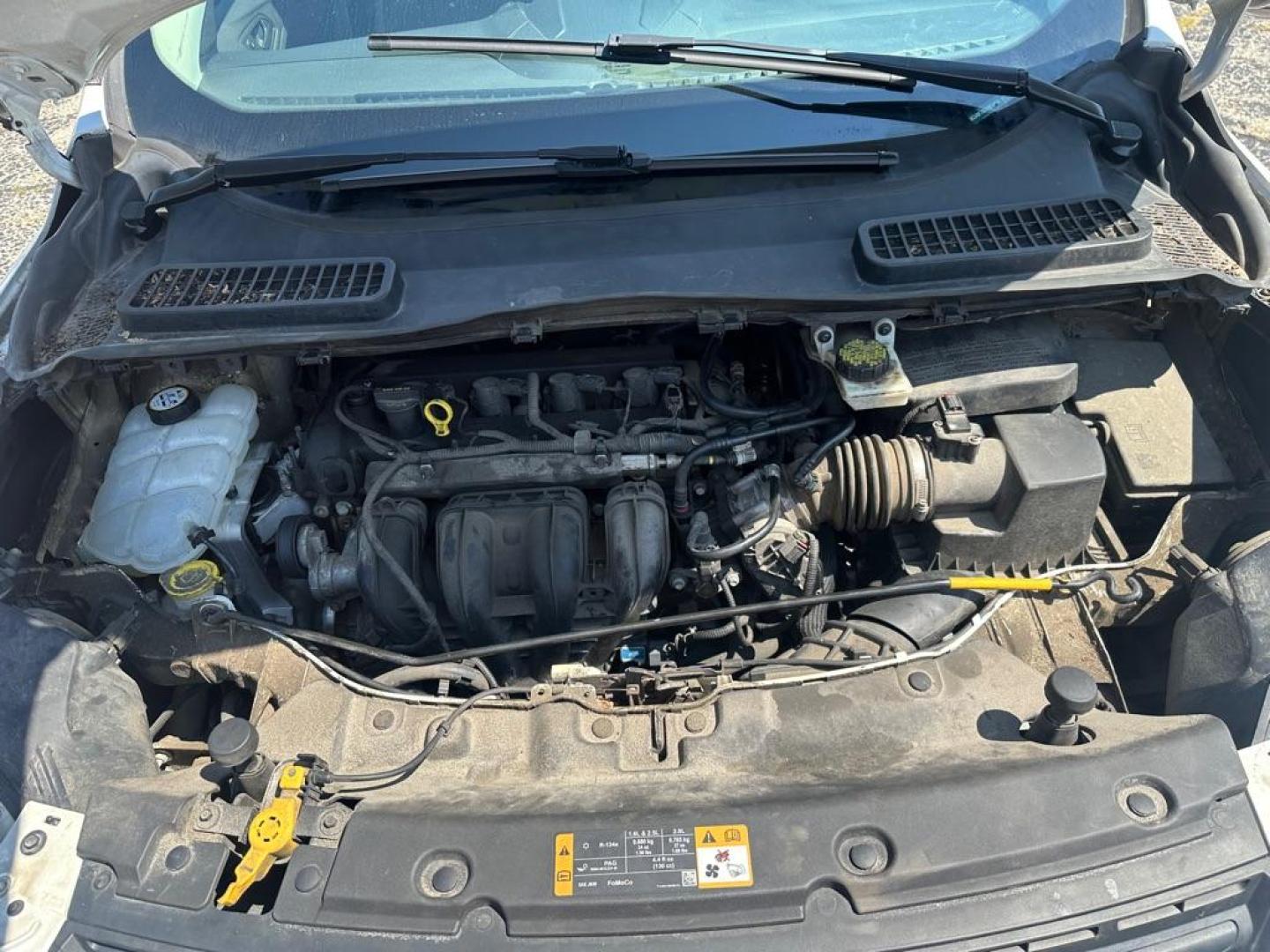 2013 WHITE FORD ESCAPE S (1FMCU0F70DU) with an 2.5L engine, Automatic transmission, located at 1708 Broadway, Rockford, IL, 61104, (815) 397-5010, 42.252522, -89.069359 - Photo#13