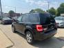 2010 BLACK FORD ESCAPE XLT (1FMCU0DG3AK) with an 3.0L engine, Automatic transmission, located at 1708 Broadway, Rockford, IL, 61104, (815) 397-5010, 42.252522, -89.069359 - Photo#6