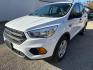 2017 WHITE FORD ESCAPE S (1FMCU0F71HU) with an 2.5L engine, Automatic transmission, located at 1708 Broadway, Rockford, IL, 61104, (815) 397-5010, 42.252522, -89.069359 - Photo#0