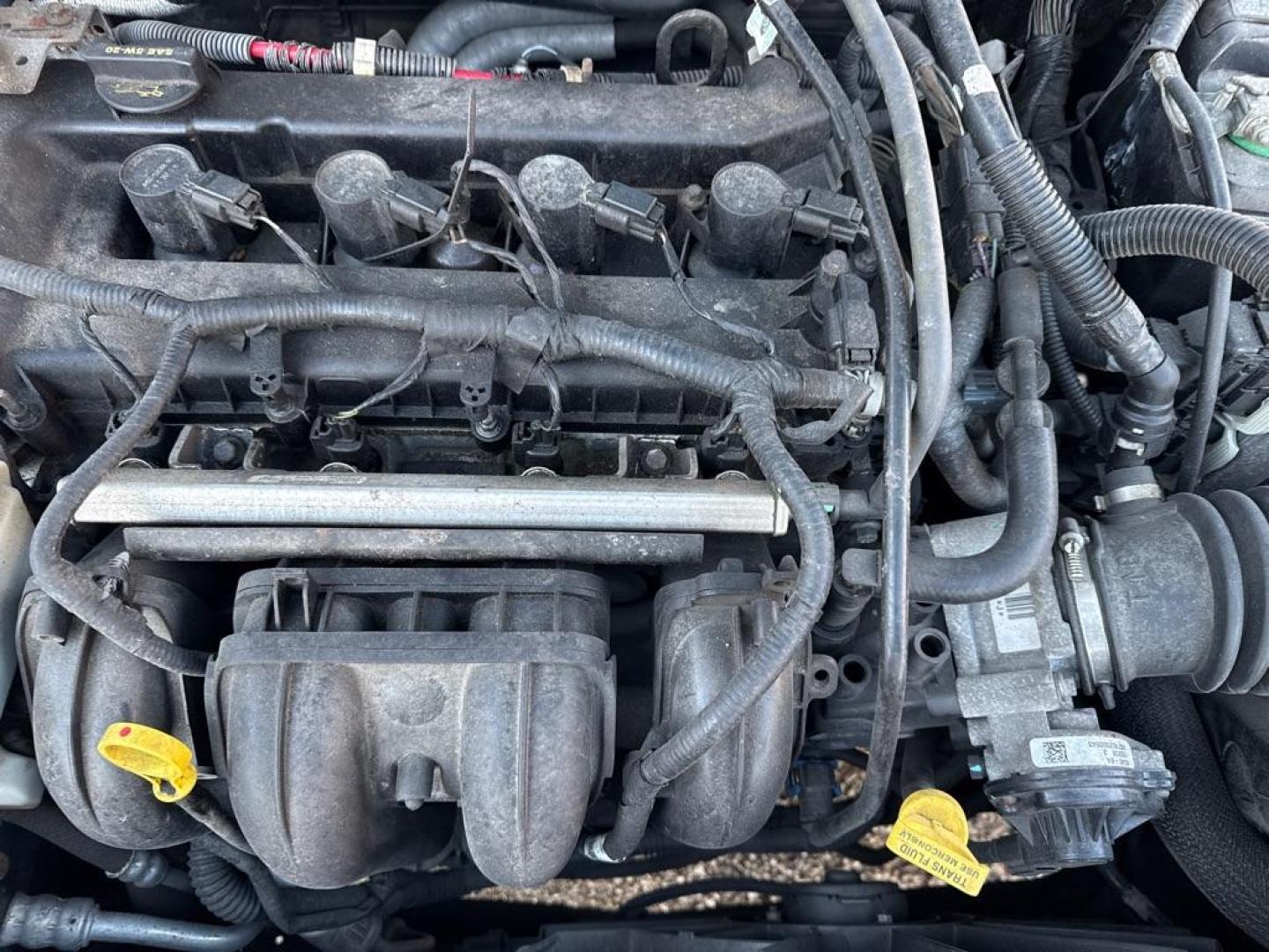 2009 BLUE FORD FOCUS SE (1FAHP35N29W) with an 2.0L engine, Automatic transmission, located at 1708 Broadway, Rockford, IL, 61104, (815) 397-5010, 42.252522, -89.069359 - Photo#9