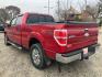 2011 RED FORD F150 SUPERCREW (1FTFW1EF3BK) with an 5.0L engine, Automatic transmission, located at 1708 Broadway, Rockford, IL, 61104, (815) 397-5010, 42.252522, -89.069359 - Photo#3