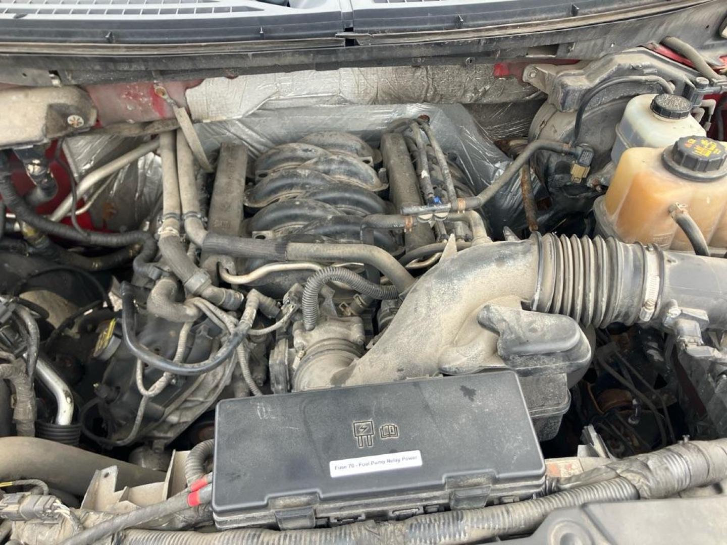 2011 RED FORD F150 SUPERCREW (1FTFW1EF3BK) with an 5.0L engine, Automatic transmission, located at 1708 Broadway, Rockford, IL, 61104, (815) 397-5010, 42.252522, -89.069359 - Photo#9