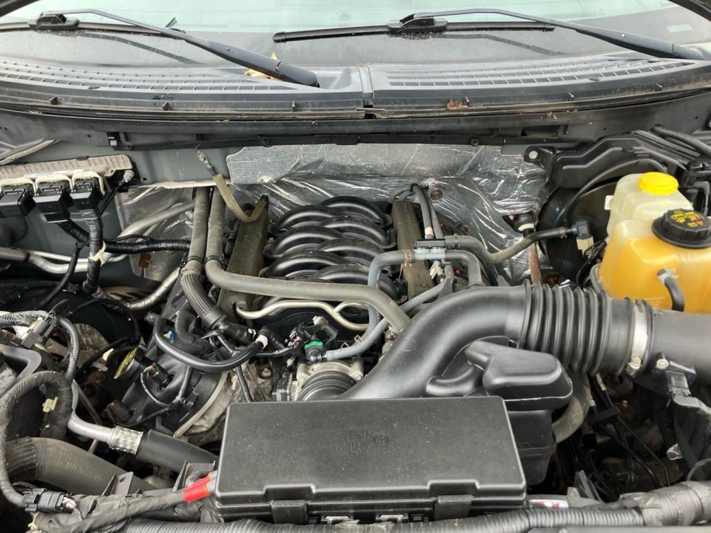 2014 GRAY FORD F150 SUPERCREW (1FTFW1EF0EF) with an 5.0L engine, Automatic transmission, located at 1708 Broadway, Rockford, IL, 61104, (815) 397-5010, 42.252522, -89.069359 - Photo#9