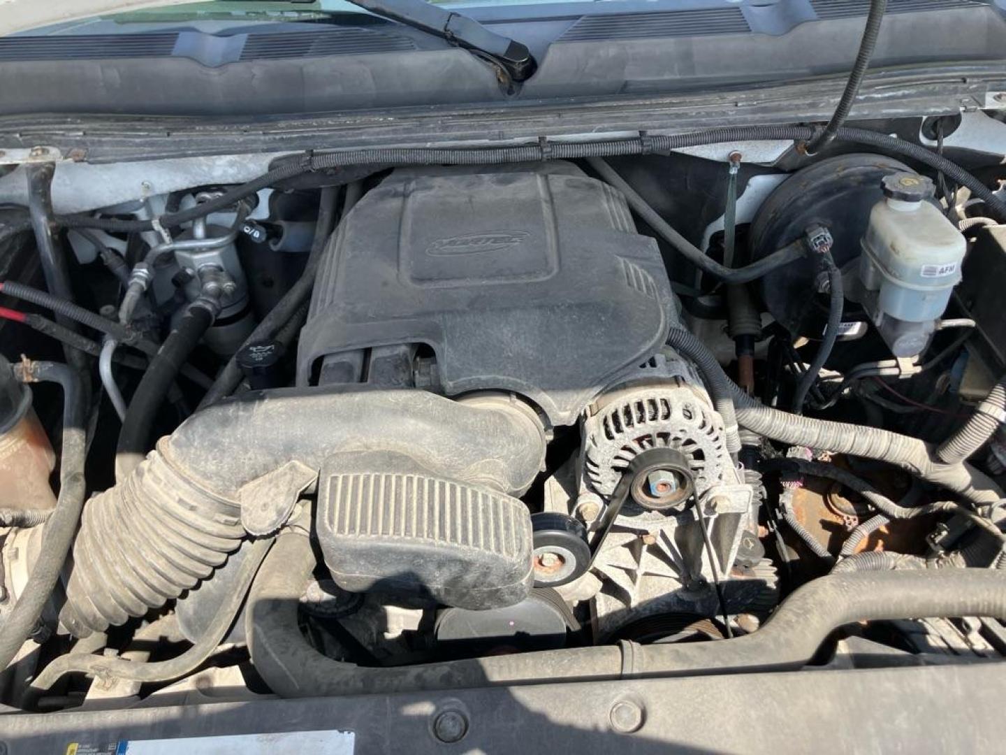 2011 WHITE CHEVROLET SILVERADO 1500 LT (1GCPKSE32BF) with an 5.3L engine, Automatic transmission, located at 1708 Broadway, Rockford, IL, 61104, (815) 397-5010, 42.252522, -89.069359- Photo#9