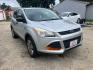 2013 SILVER FORD ESCAPE S (1FMCU0F79DU) with an 2.5L engine, Automatic transmission, located at 1708 Broadway, Rockford, IL, 61104, (815) 397-5010, 42.252522, -89.069359- Photo#1