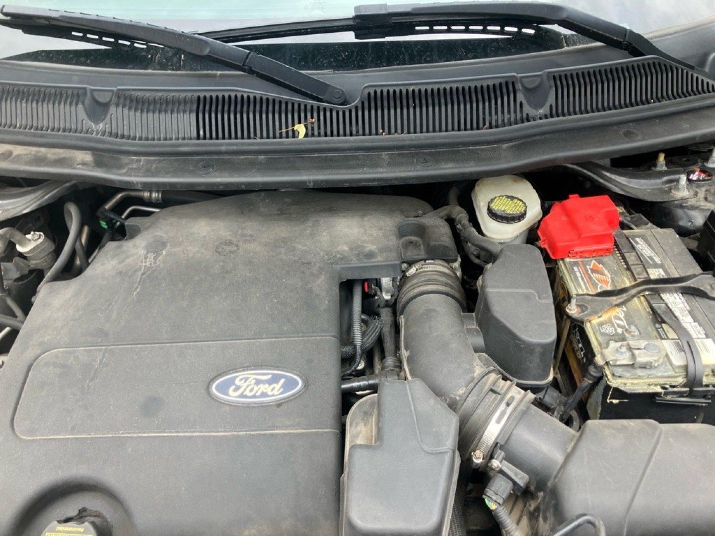 2011 BLACK FORD EXPLORER XLT (1FMHK7D89BG) with an 3.5L engine, Automatic transmission, located at 1708 Broadway, Rockford, IL, 61104, (815) 397-5010, 42.252522, -89.069359- Photo#10