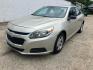 2015 GOLD CHEVROLET MALIBU LS (1G11A5SL7FF) with an 2.5L engine, Automatic transmission, located at 1708 Broadway, Rockford, IL, 61104, (815) 397-5010, 42.252522, -89.069359- Photo#0