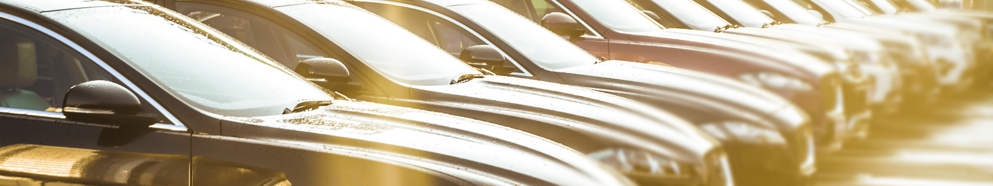 Used Cars Rockford Il >> Carlyle Auto Sales Used Bhph Cars Rockford Il Pre Owned Used Cars Rockford Il >> Carlyle Auto Sales Used Bhph Cars Rockford Il Pre Owned